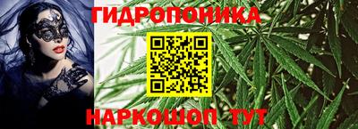круглые Кингисепп