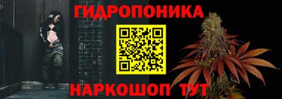 ПСИЛОЦИБИНОВЫЕ ГРИБЫ Кимры