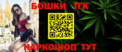 индика Кинель