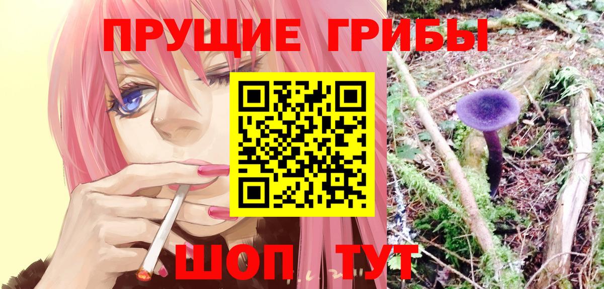 Псилоцибиновые грибы Magic Shrooms Кулебаки