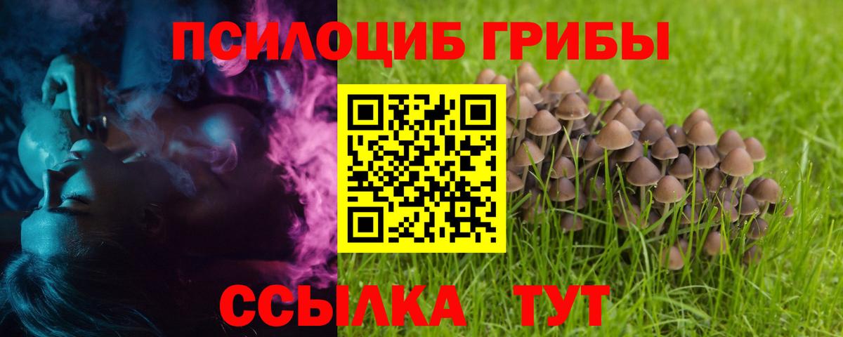 Галлюциногенные грибы Cubensis  Вход с VPN  Кулебаки  Галлюциногенные грибы Cubensis 